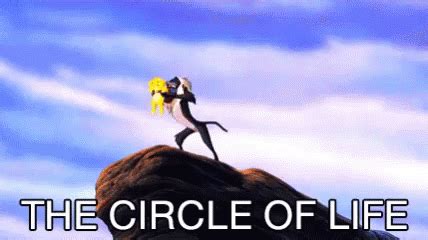 circle of life gif|The Circle Of Life GIF .